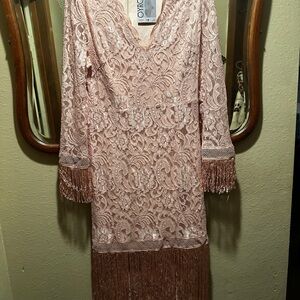 Chic Lace Long Sleeve Dress with Fringe